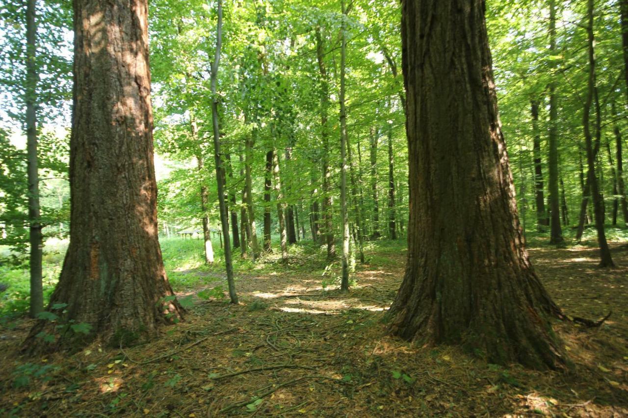 Hainich-Zeit Rodeberg Exteriör bild